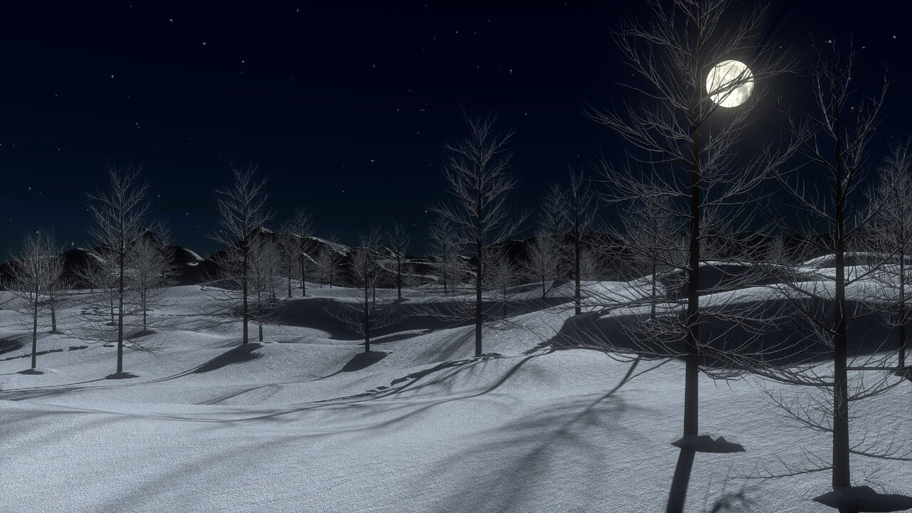 Excursiones Nocturnas en Ushuaia